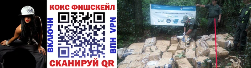 COCAIN Columbia  Светлогорск 