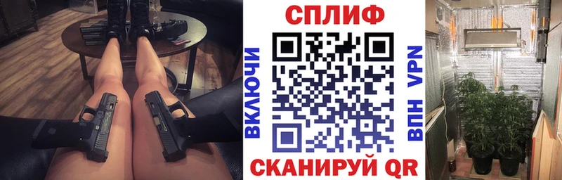 Бошки марихуана сатива  ссылка на мегу как зайти  Светлогорск 